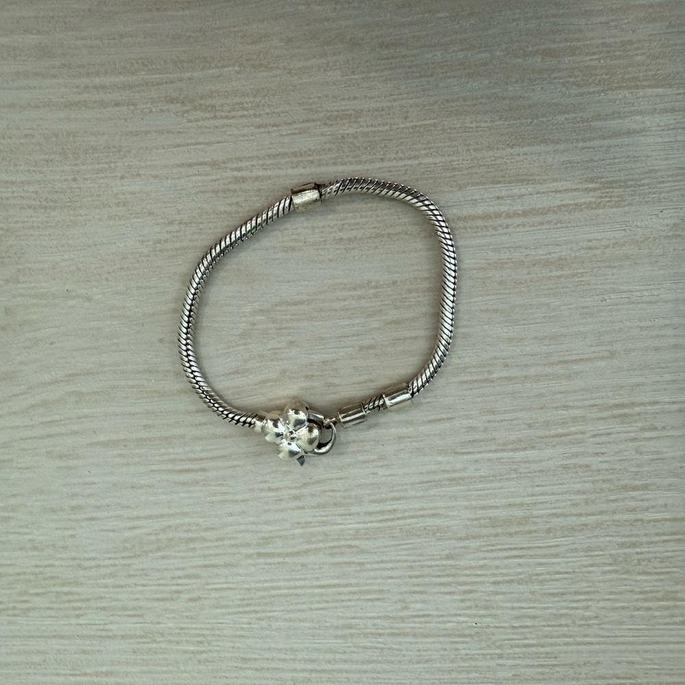Pandora bracelet
